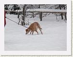 P1030639-2 * 3648 x 2736 * (4.61MB)