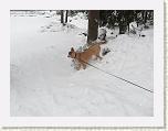 P1030646-2 * 3648 x 2736 * (4.08MB)