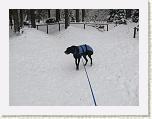 P1030658-2 * 3648 x 2736 * (4.69MB)