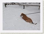 P1030664-2 * 3648 x 2736 * (4.21MB)