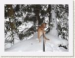 P1030677-2 * 3648 x 2736 * (4.69MB)