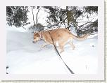 P1030678-2 * 3648 x 2736 * (5.0MB)